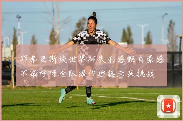 邓弗里斯谈世界杯失利感慨自豪感不减呼吁全队振作迎接未来挑战