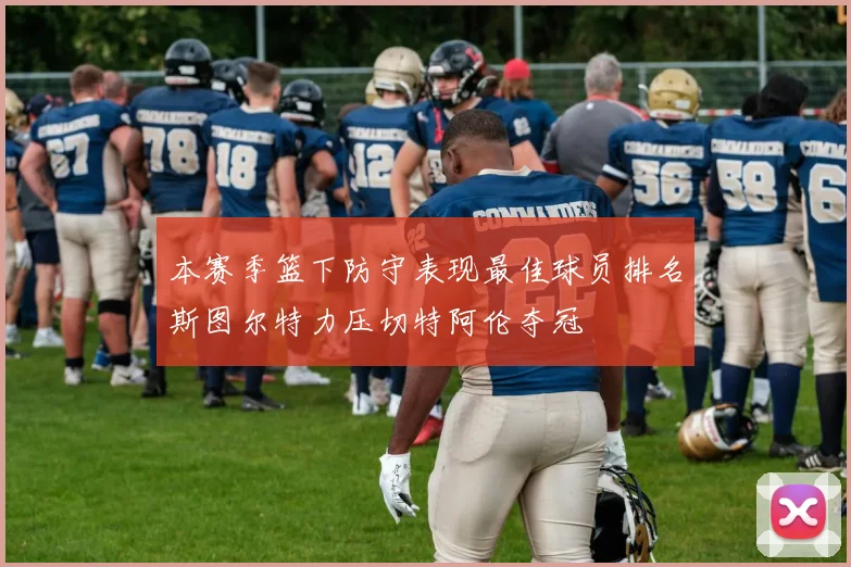 本赛季篮下防守表现最佳球员排名斯图尔特力压切特阿伦夺冠